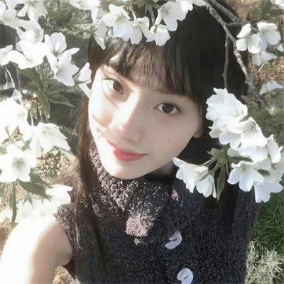 芈月传